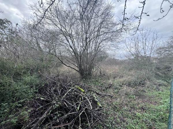 Terrain à vendre |  Saint-Avertin |  566 m²