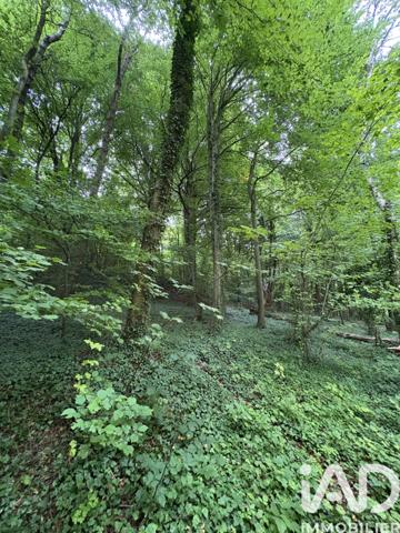 Terrain à vendre 10 604 m² Doullens