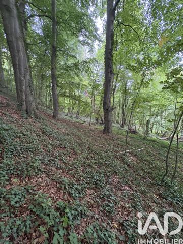 Terrain à vendre 10 604 m² Doullens