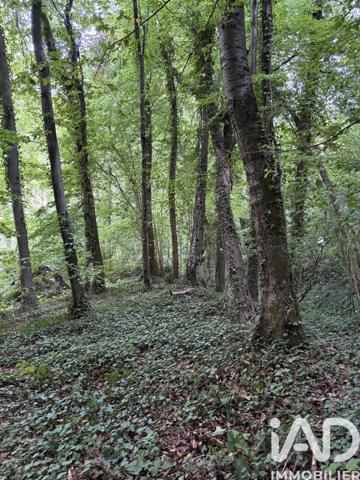 Terrain à vendre 10 604 m² Doullens