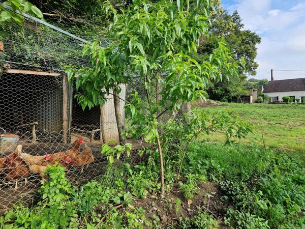 fermette avec travaux au calme, dependance et grand terrain