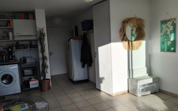 Appartement à louer    1 pièce •  Marseillan