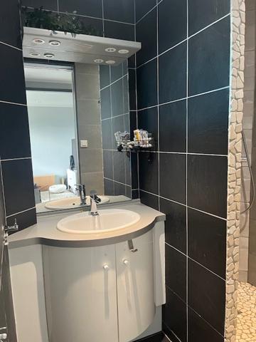 Saint-Étienne (42100) APPARTEMENT T2 43M² LOUE SECTEUR VIVARAIZE