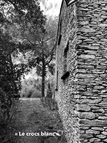 L'Isle-sur-la-Sorgue (84800) propriété " crocs blancs"