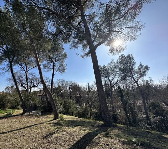 L'Isle-sur-la-Sorgue (84800) propriété " crocs blancs"