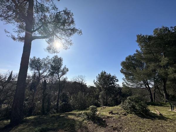 L'Isle-sur-la-Sorgue (84800) propriété " crocs blancs"