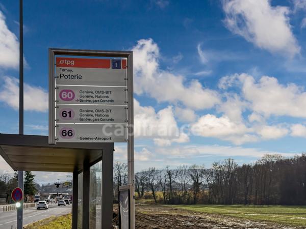 Appartement à vendre 1 pièces FERNEY VOLTAIRE (01)