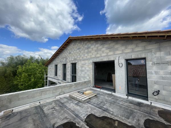 Prendre de la Hauteur : Un Cocon Suspendu et sa Terrasse d'Étoiles