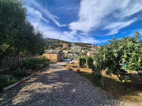 Maison T5 178 m² jardin 2752 m² a Furiani