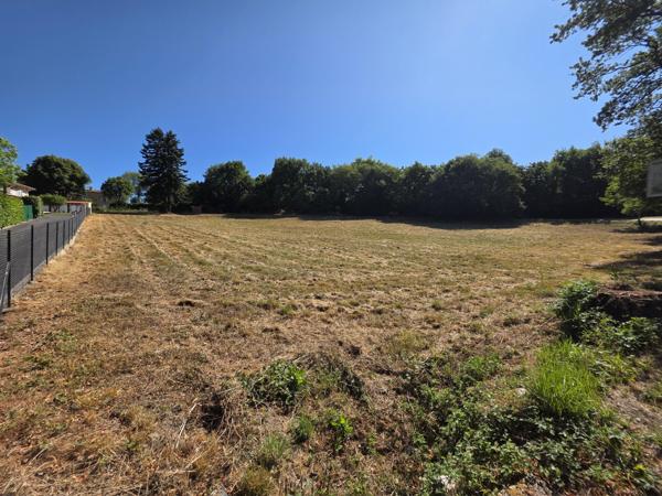 Vente / Terrain constructible