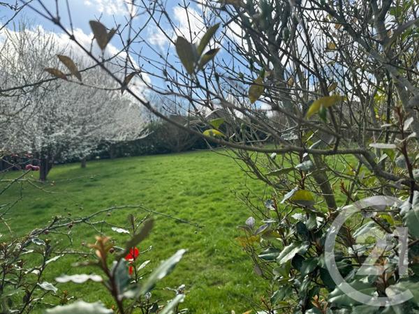 Terrain à vendre  700 m2 VILLERS SUR MER - 14