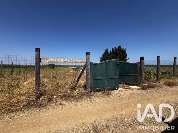 Terrain à vendre 650 m² Salses-le-Château