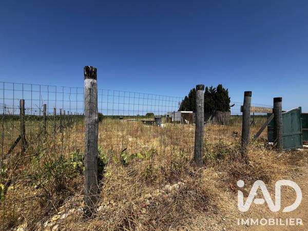 Terrain à vendre 650 m² Salses-le-Château