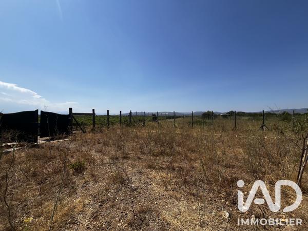 Terrain à vendre 650 m² Salses-le-Château