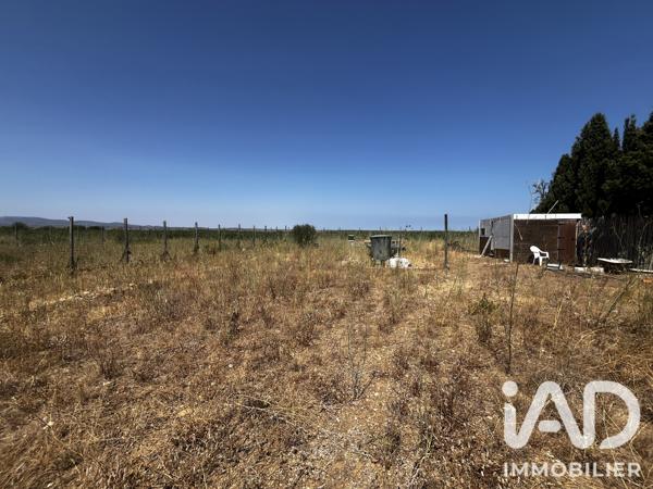 Terrain à vendre 650 m² Salses-le-Château