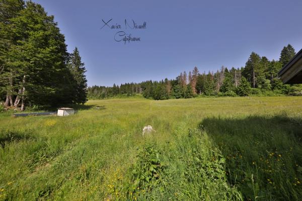 Propriete à vendre 15 pièces LE GRAND ABERGEMENT (01)