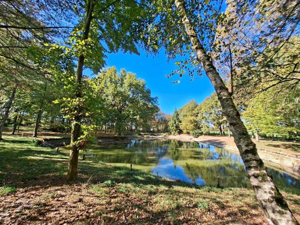 Terrain avec étang - Angers 10 mn