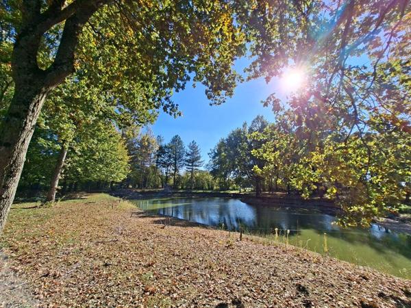 Terrain avec étang - Angers 10 mn