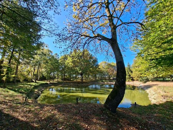 Terrain avec étang - Angers 10 mn