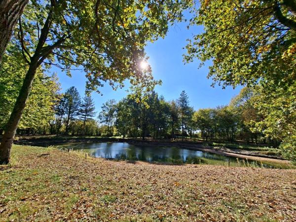 Terrain avec étang - Angers 10 mn