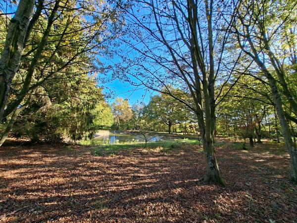 Terrain avec étang - Angers 10 mn
