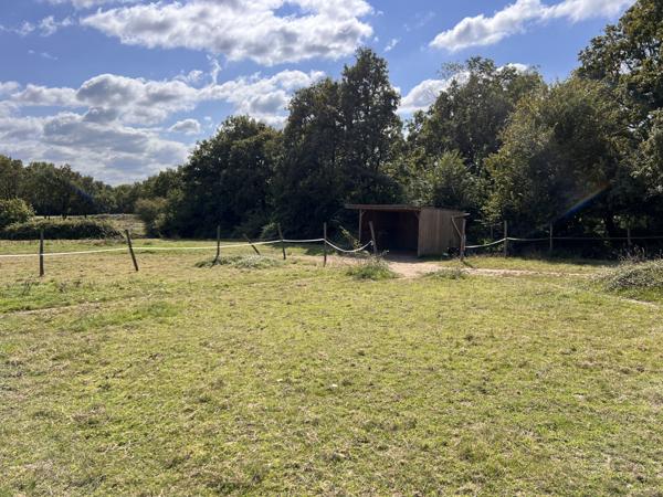 Grange aménagée 4 chambres - grand terrain pour chevaux