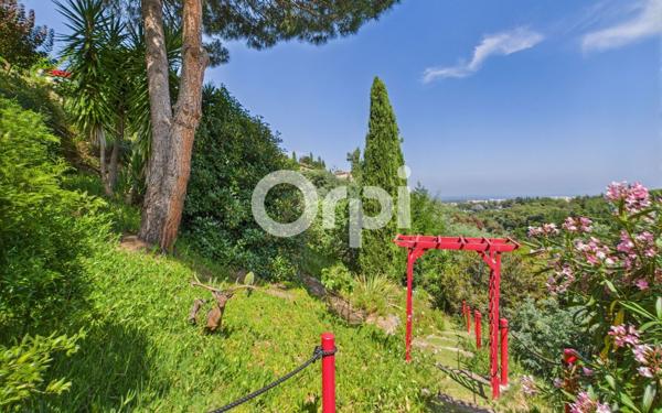 Maison à vendre    6 pièces •  Mandelieu-la-Napoule