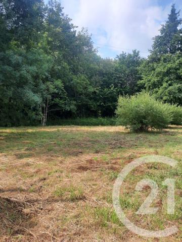 Terrain à vendre  1133 m 2   ASCAIN  - 64