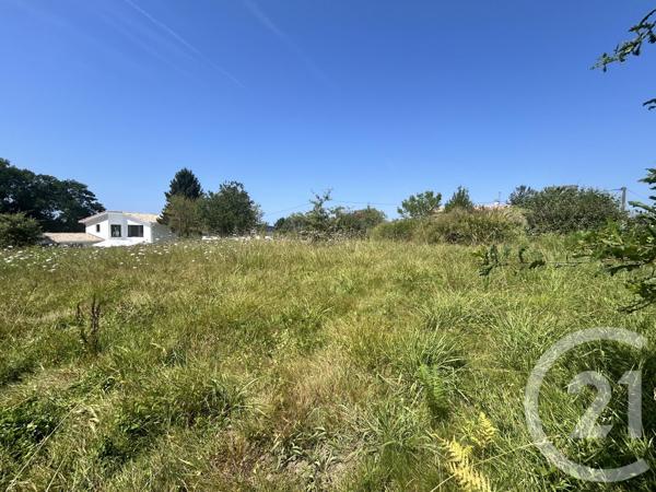 Terrain à vendre  1133 m 2   ASCAIN  - 64