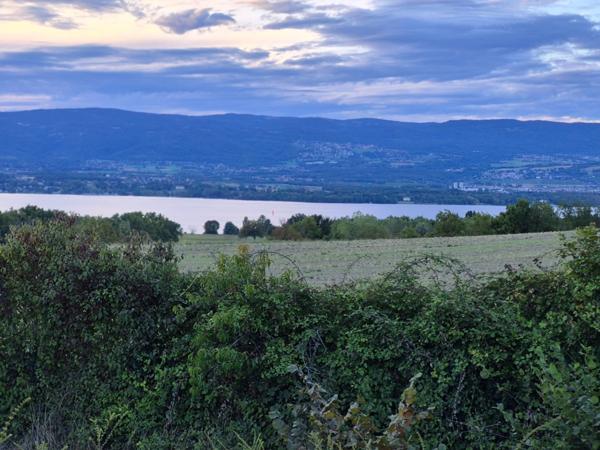 Terrain à vendre de 2 155,00 m² MESSERY (74)