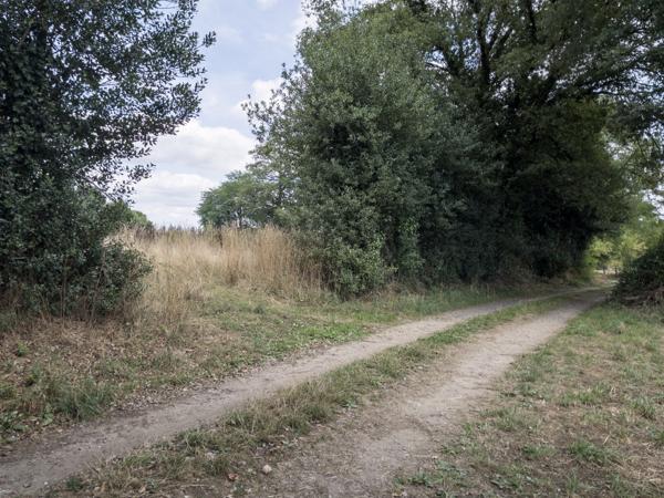 Terrain à vendre à Les Salles-Lavauguyon (87440) - Haute-Vienne
