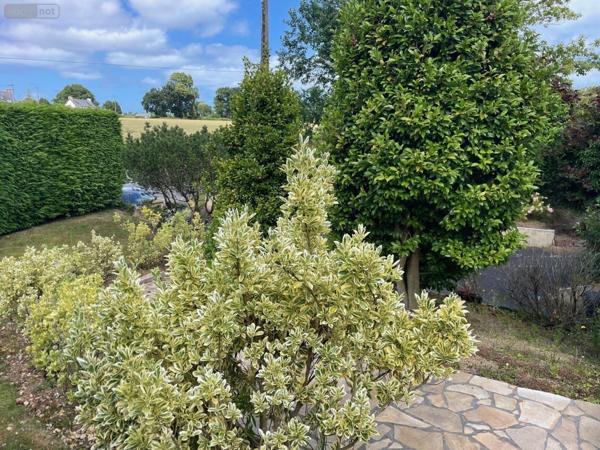 Maison à vendre à Plouha dans les Côtes-d'Armor (22580), ref : MAIS-207