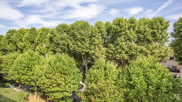 Appartement Neuilly-sur-Seine - ÎLE DE LA JATTE