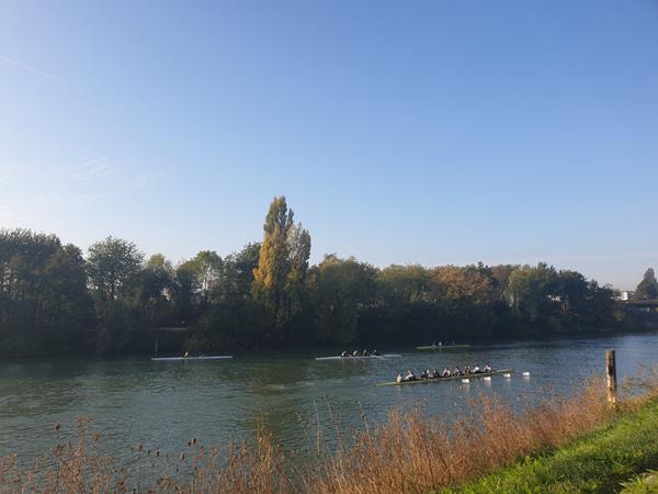 Appartement Neuilly Sur Marne 4 pièce(s)  77 m2