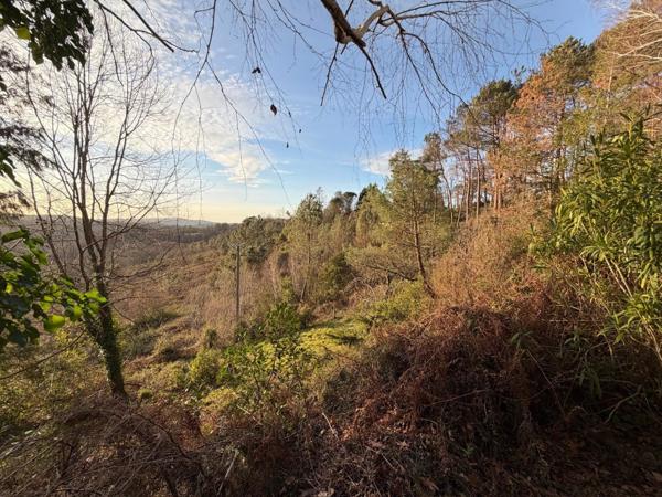 Vente Maison 7 pièces 205 m2 à Brive-la-Gaillarde
