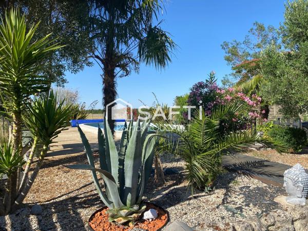 Maison rénovée + piscine 9X4 sur parcelle 905m2