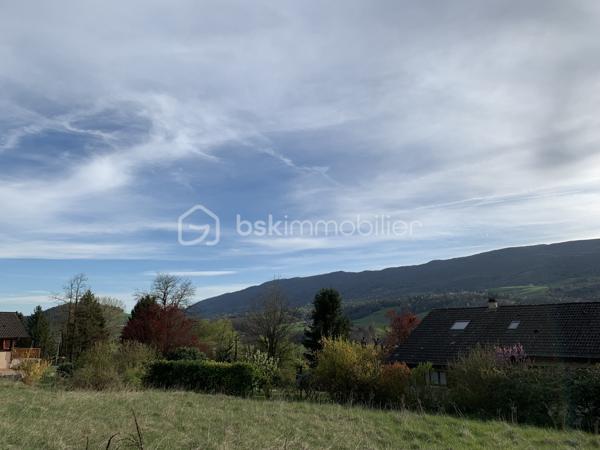 Lotissement de 1 067 m²