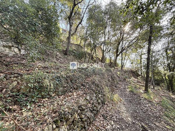 Achat terrain près de CASTILLON - 1700 m² - 250 000 €