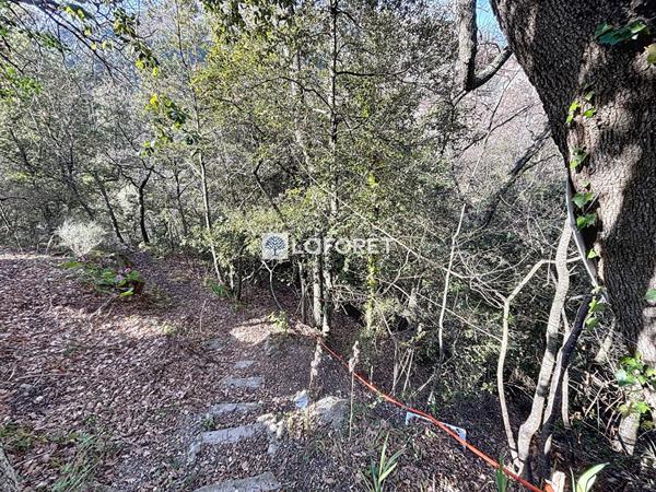 Achat terrain près de CASTILLON - 1700 m² - 250 000 €