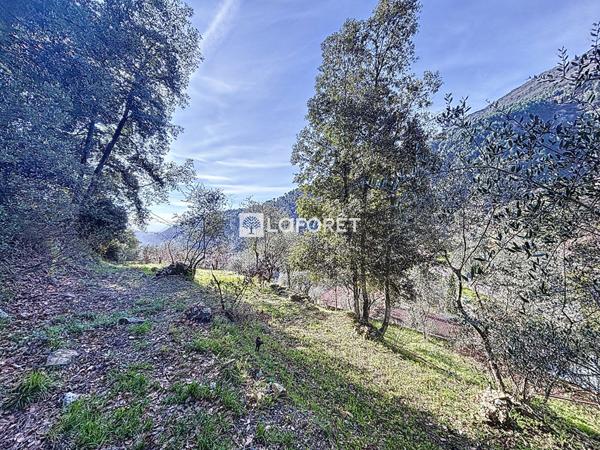Achat terrain près de CASTILLON - 1700 m² - 250 000 €