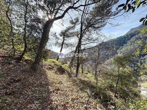 Achat terrain près de CASTILLON - 1700 m² - 250 000 €