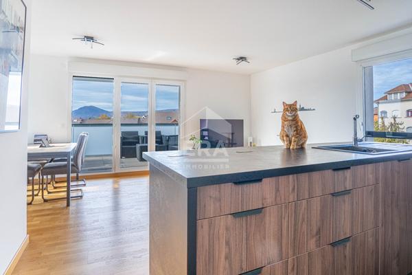 À vendre - Superbe appartement T4 contemporain avec vue montagnes - Annecy - CAVE ET DOUBLE GARAGE INCLUS