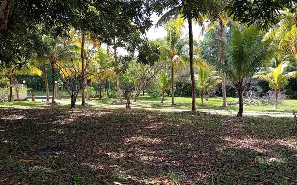 Maison à vendre    6 pièces •  Mana