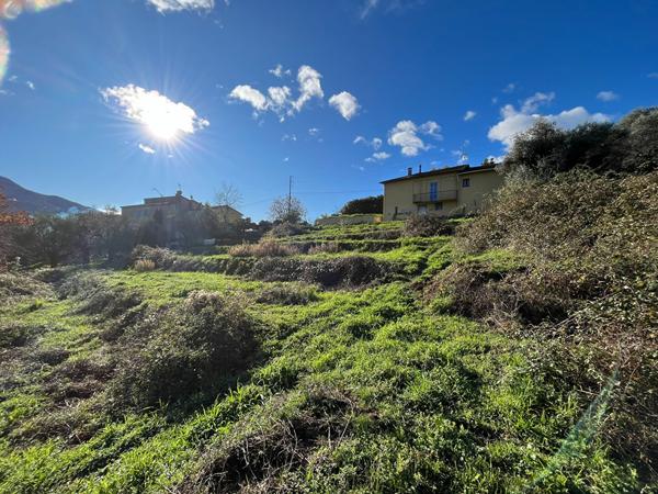 CARROS LES PLANS - TERRAIN CONSTRUCTIBLE DE 5 737 M²