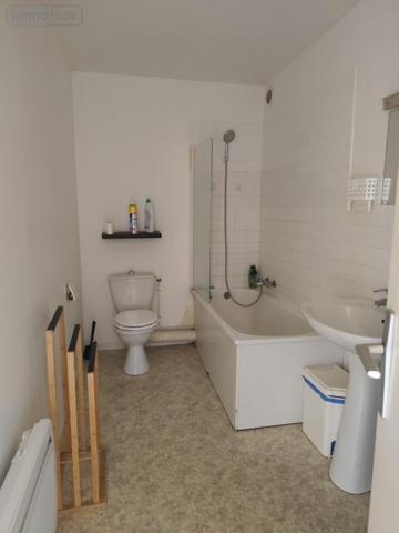 Appartement à louer à Montargis dans le Loiret (45200), ref : 45052-L286