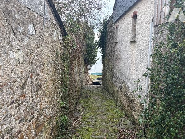 Maison à Ingrandes/Le Fresne sur Loire, 93 m², vue Loire, dépendance, terrain de 430 m² !