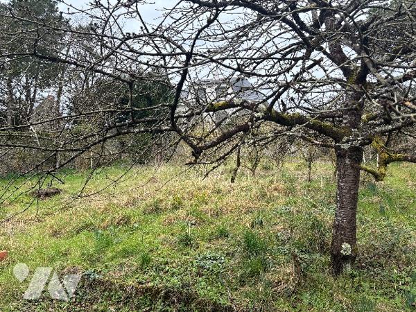 Maison à Ingrandes/Le Fresne sur Loire, 93 m², vue Loire, dépendance, terrain de 430 m² !