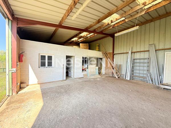 Entrepôt / local - Doué En Anjou -120 m2 - D6018