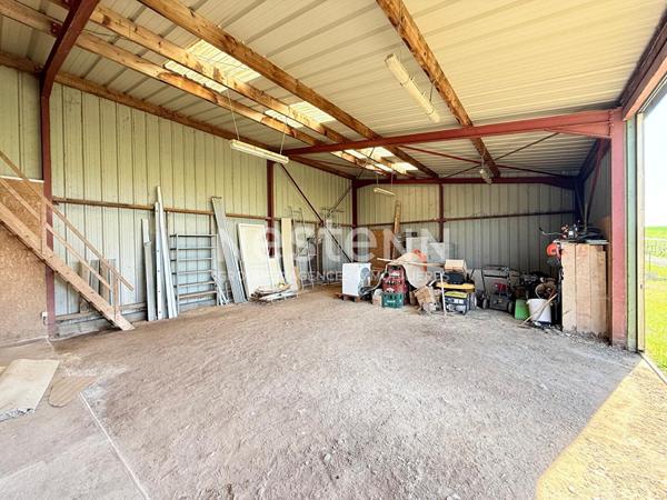 Entrepôt / local - Doué En Anjou -120 m2 - D6018