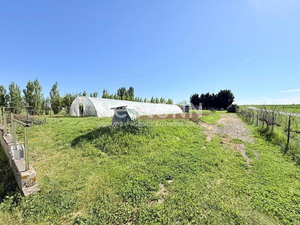 Entrepôt / local - Doué En Anjou -120 m2 - D6018